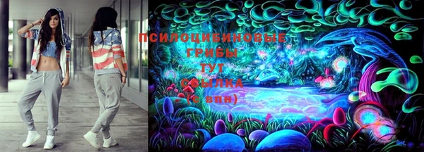 молекула духа Алексеевка