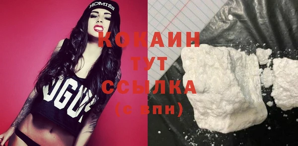 молекула духа Алексеевка