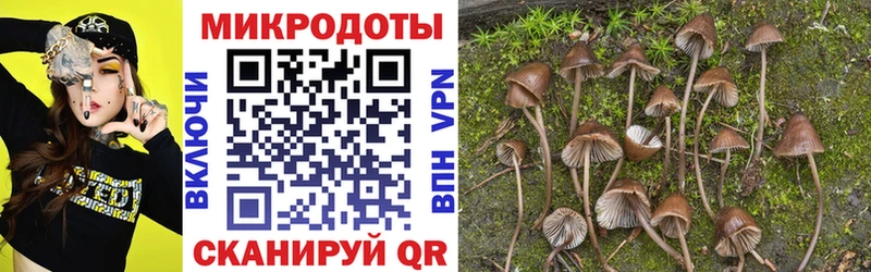 Псилоцибиновые грибы мицелий  Байкальск 